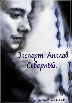 Эксперт. Анклав Северный.(Книга 2)