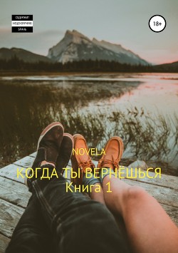 Когда ты вернешься. Книга 1