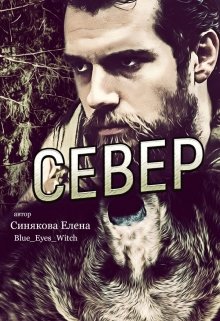 Север (1 книга серии Берсерки)